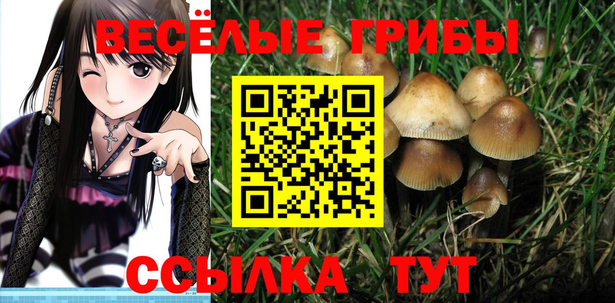 Галлюциногенные грибы GOLDEN TEACHER  Галлюциногенные грибы MAGIC MUSHROOMS  Вход с VPN  Волгоград 