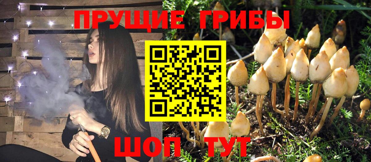 Галлюциногенные грибы мухоморы Волгоград