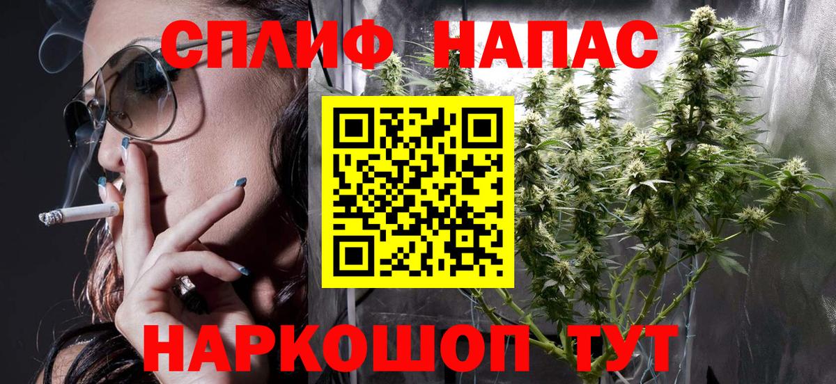 Каннабис SATIVA & INDICA Волгоград